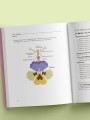 Японские украшения из бисера. Практическое руководство по плетению трендовых аксессуаров из бисера