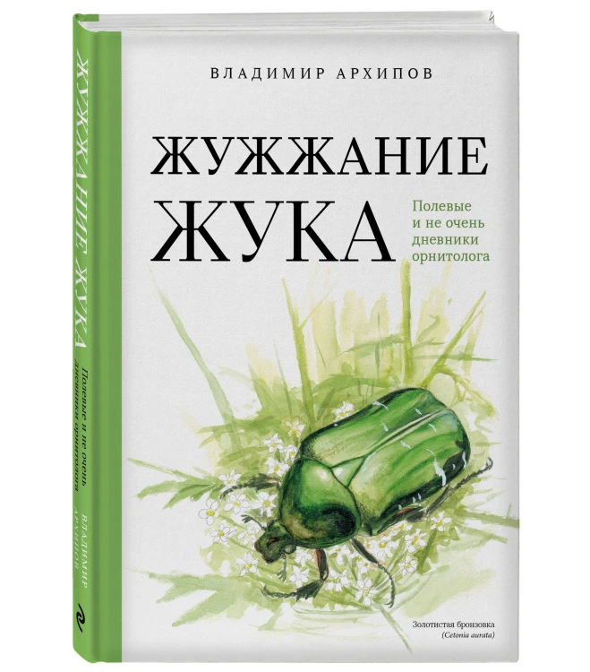 Жужжание жука. Полевые и не очень дневники орнитолога