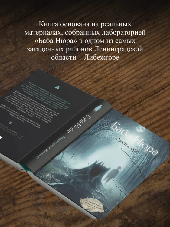 Баба Нюра. Либежгора. Мистический роман, основанный на реальных событиях
