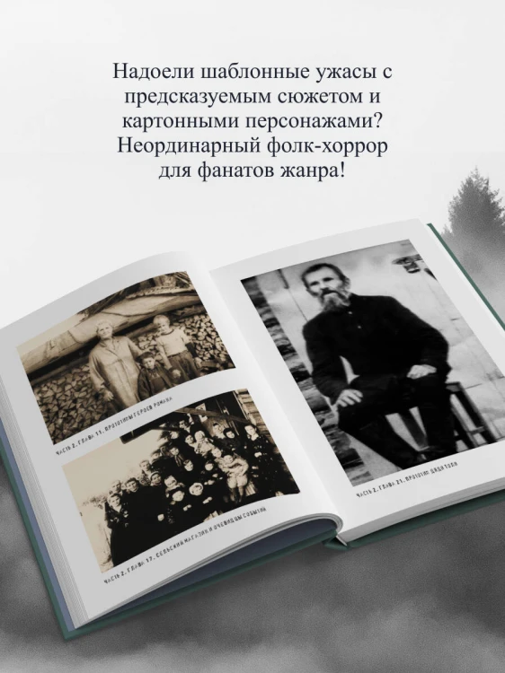 Баба Нюра. Либежгора. Мистический роман, основанный на реальных событиях