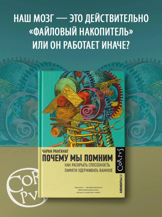 Почему мы помним