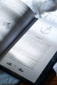 Компас и клинок. Книга 1