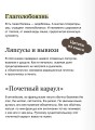 Слово живое и мертвое