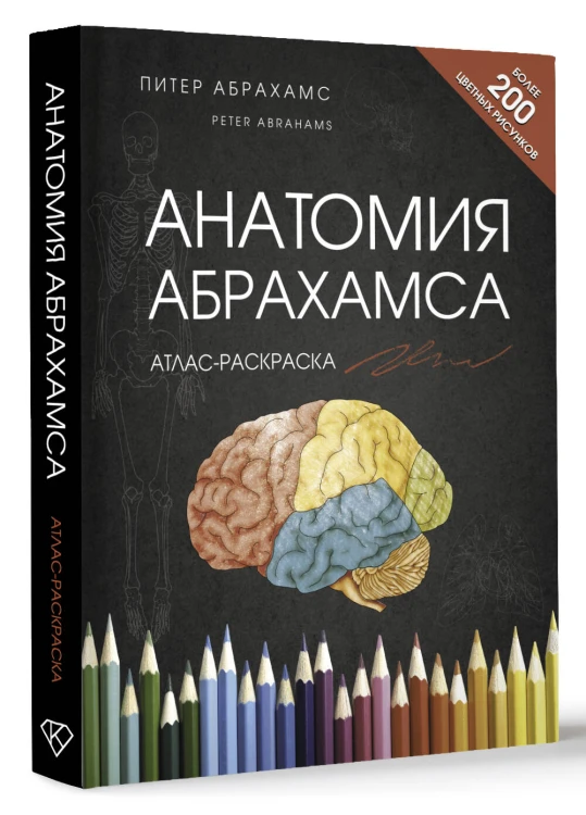 Анатомия Абрахамса. Атлас-раскраска