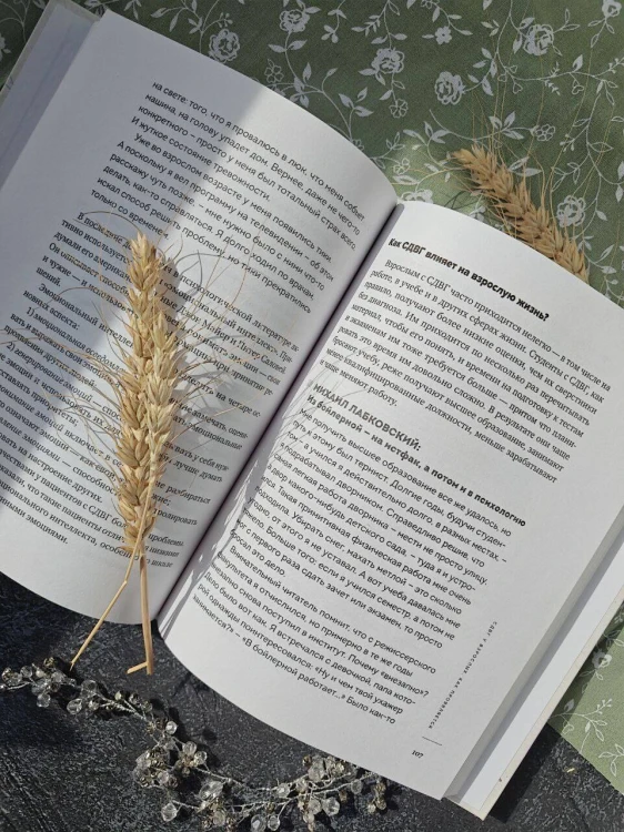 Ребенок-ракета, ребенок-ураган. Руководство по СДВГ для любящих и уставших родителей
