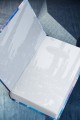 Галактический консул: Гребень волны. Гнездо феникса