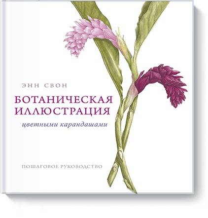 Ботаническая иллюстрация цветными карандашами. Пошаговое руководство