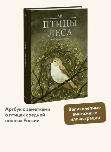 Птицы леса. Артбук