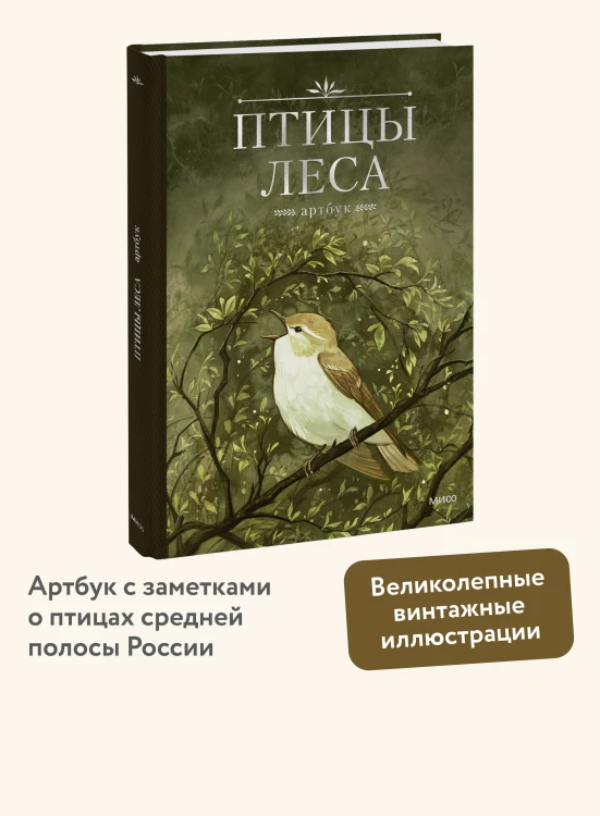 Птицы леса. Артбук