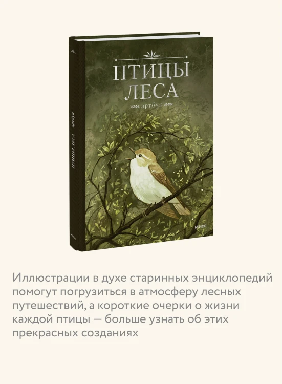 Птицы леса. Артбук