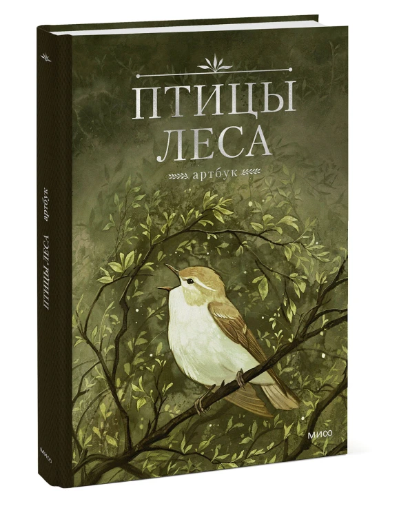 Птицы леса. Артбук