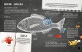 Что? Как? Почему? Мои первые знания про МОРЯ И ОКЕАНЫ (с постером)