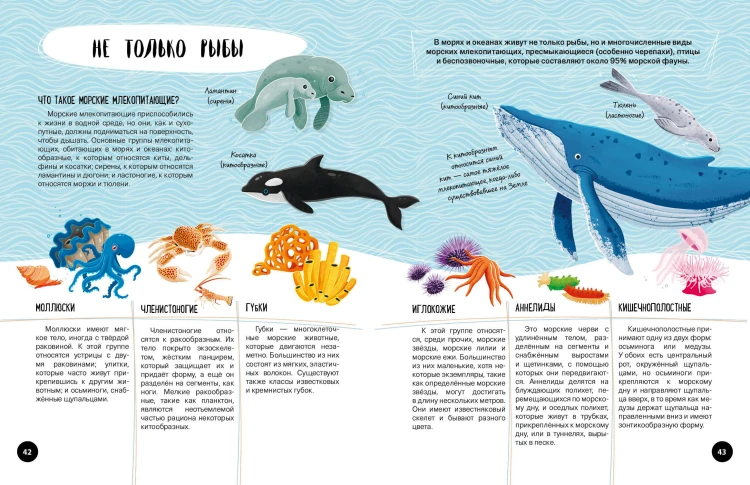 Что? Как? Почему? Мои первые знания про МОРЯ И ОКЕАНЫ (с постером)