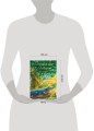 Островитяне. Книга 2. Поиски сокровищ