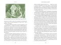 Мифы о мире мертвых. От Осириса и Хель до похищения Персефоны и «Божественной комедии»