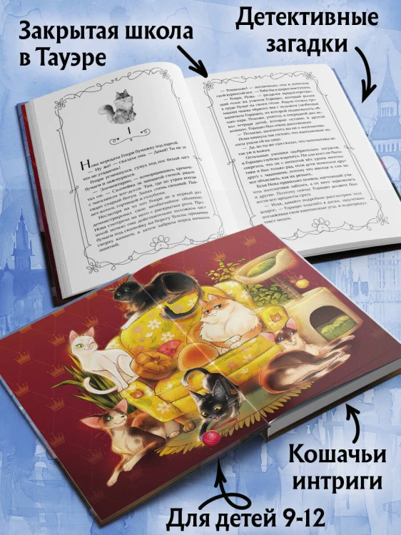 Школа Фелидиксов (#1)