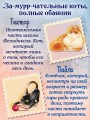 Школа Фелидиксов (#1)