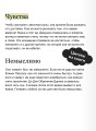 Тень короля