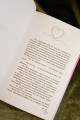 Я случайно подобрала любовь. Книга 2