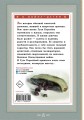 Четвертая высота