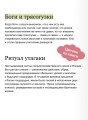Интимная Япония. Ночные свидания, «веселые кварталы» и культура подглядывания