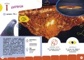Самые необычные животные и места мира