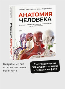 Анатомия человека. Визуальный гид по всем системам организма: норма и патологии