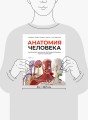 Анатомия человека. Визуальный гид по всем системам организма: норма и патологии