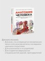 Анатомия человека. Визуальный гид по всем системам организма: норма и патологии