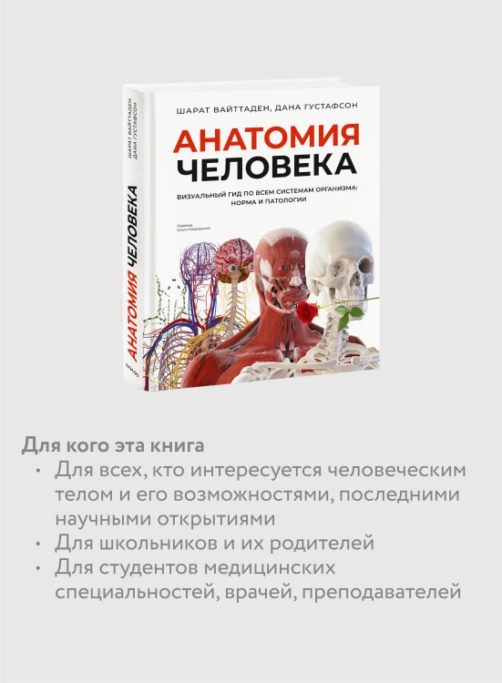 Анатомия человека. Визуальный гид по всем системам организма: норма и патологии