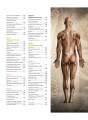 Анатомия человека. Визуальный гид по всем системам организма: норма и патологии