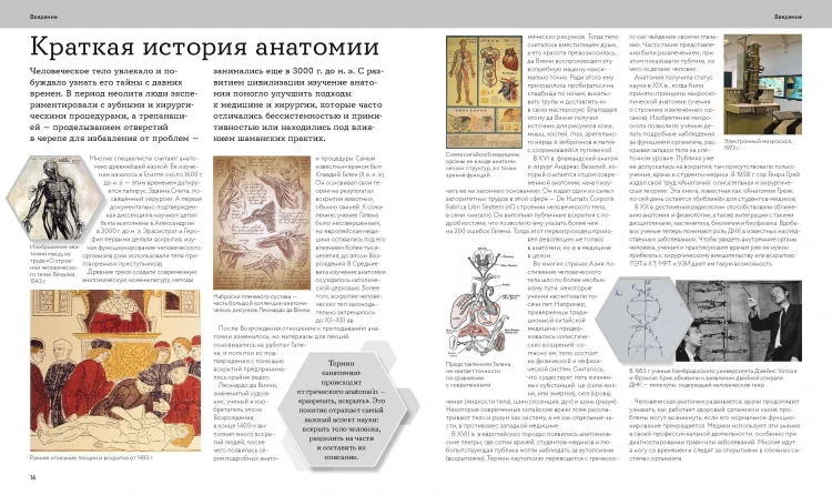 Анатомия человека. Визуальный гид по всем системам организма: норма и патологии