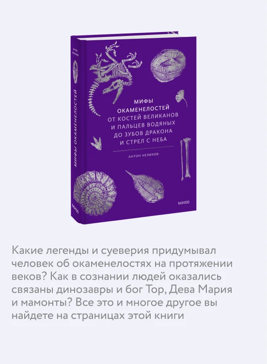 Мифы окаменелостей. От костей великанов и пальцев водяных до зубов дракона и стрел с неба