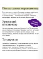 Мифы окаменелостей. От костей великанов и пальцев водяных до зубов дракона и стрел с неба
