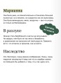Чувство и чувствительность. Вечные истории. Young Adult
