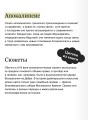 Искусство Апокалипсиса. Средневековые манускрипты, книга за семью печатями, Небесный Иерусалим и другие образы конца света