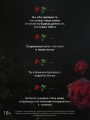 Одна проклятая роза