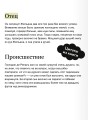 Красное и черное. Вечные истории