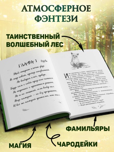 Магия четырех стихий. Девочка по имени Ива (#1) (кинообложка)