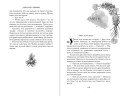 Кедр и гвоздика