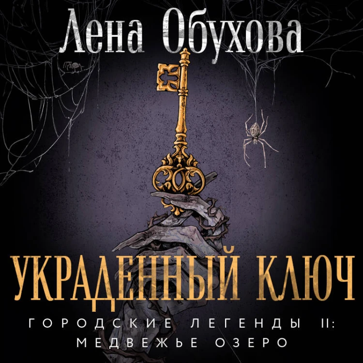 Украденный ключ