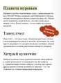 Насекомые и пауки. Детская энциклопедия (Чевостик)