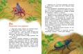 Насекомые и пауки. Детская энциклопедия (Чевостик)
