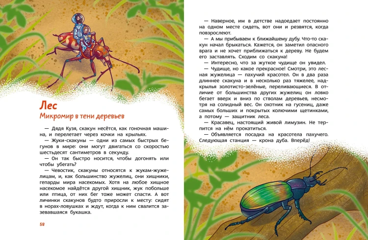 Насекомые и пауки. Детская энциклопедия (Чевостик)