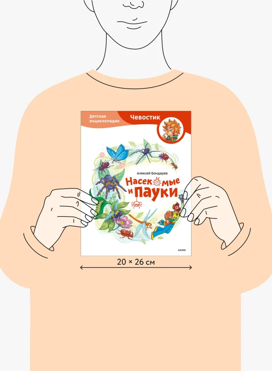Насекомые и пауки. Детская энциклопедия (Чевостик)