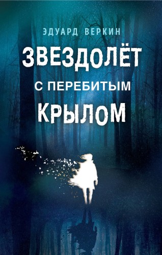 Звездолёт с перебитым крылом