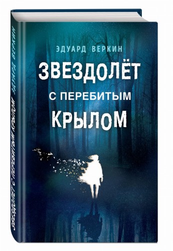 Звездолёт с перебитым крылом