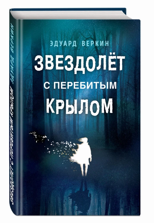 Звездолёт с перебитым крылом
