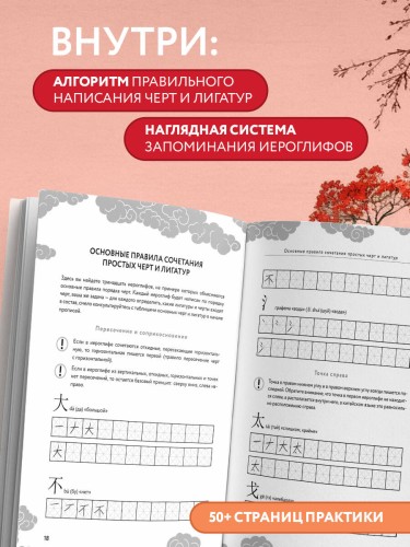 Китайские прописи для начинающих: введение в иероглифику