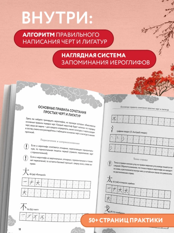 Китайские прописи для начинающих: введение в иероглифику